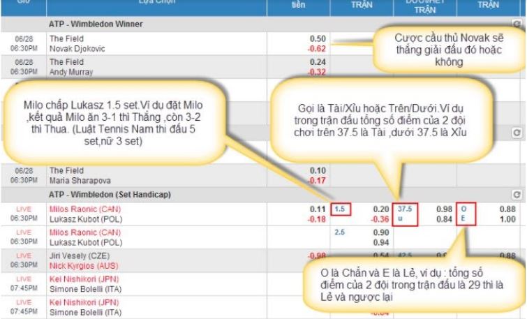 Kinh nghiem choi ca cuoc tennis