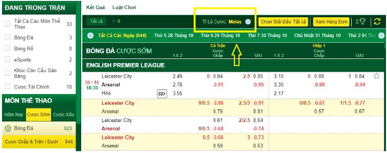 Cach cuoc odds malay