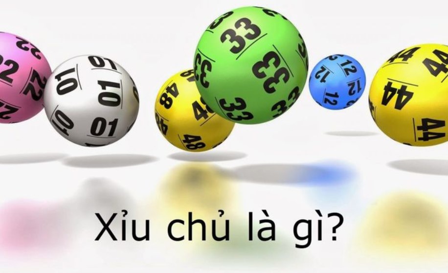 Tim hieu xiu chu trong lo de la gi?